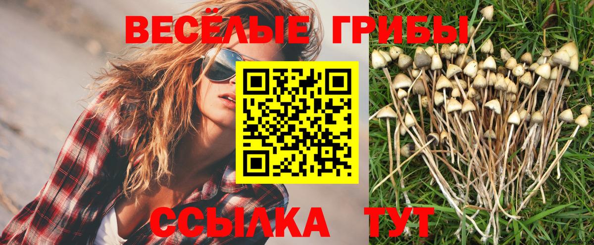 Галлюциногенные грибы Psilocybe  Галлюциногенные грибы GOLDEN TEACHER  Вход с VPN  Елец 