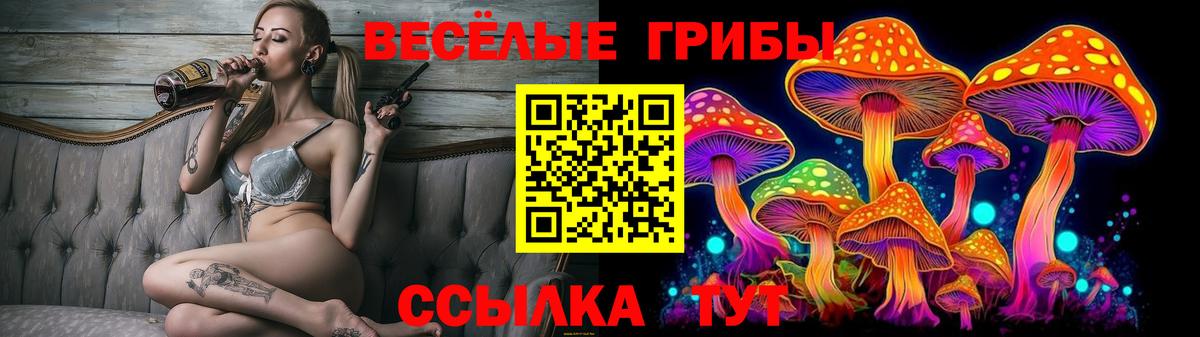Галлюциногенные грибы Magic Shrooms Елец